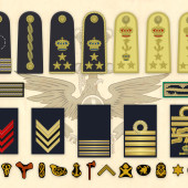 Alcuni esempi delle illustrazioni per l'articolo sui gradi della Regia Marina di Wikipedia.